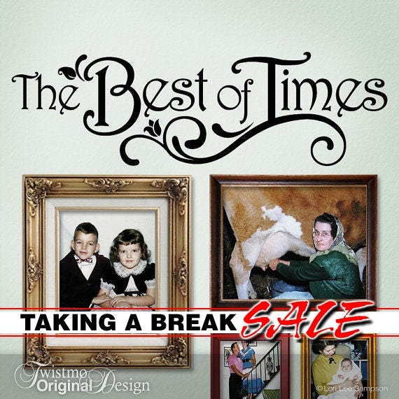 The Best of Times Photo Gallery Topper Vinyl Wall Decal msv