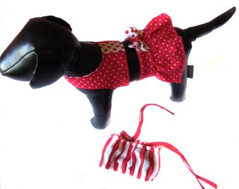 Xxs dog clothes Etsy