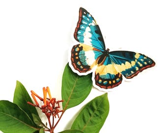 Butterfly Laptop Sticker | Vinyl Vintage Sticker | Car Sticker | Laptop Sticker | Outdoor Sticker | Nonfade Sticker | Waterbottle Sticker