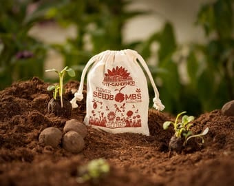 Seed Bombs "Bee's Feast", 10 walnut sized & handmade seed balls