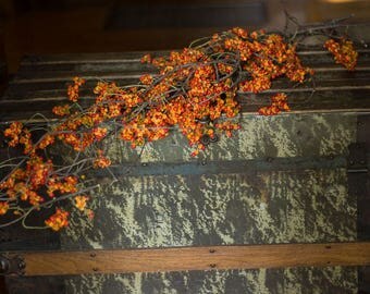 Bittersweet New Crop, Bittersweet Swag , Loose Bittersweet Vine, Bittersweet Fall Home Decor, , New Crop Bittersweet, Bittersweet Etsy