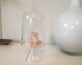 Vintage glass cloche jar glass display jar petite glass jar bell jar display curiosities