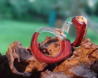 A beautiful pair of ring with fine woods in it!