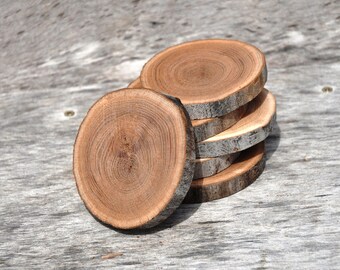 Elm Tree, Wood Slices for Centerpieces, Wood Slice Art, Wood Slices Bulk, Wood Slices Wedding, Wooden Coasters, Wood Coasters, Shabby Chic