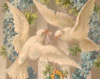 Pritty Vintage Postcard (Doves)