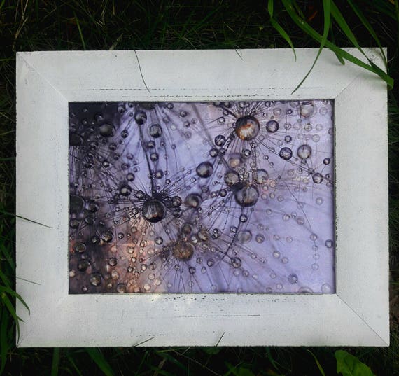 Dandelion wall art Picture framed Dandelion 3d Macro