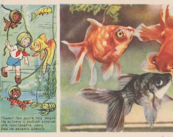 Vintage Photo by E. Ignatovich (Goldfish) Postcard -- 1955