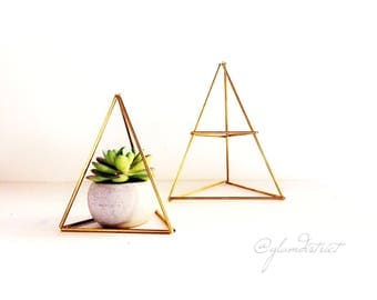 Geometric Home Decor - Himmeli, Terrarium, Air Plant Holder, Succulent Planter, Succulent Holder, Wall Decor, Desk Decor
