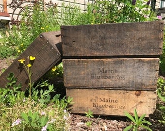 Wooden Crate Antique Maine Blueberry Crates, Vintage Fruit Harvest Boxes, 1920's to 1990's