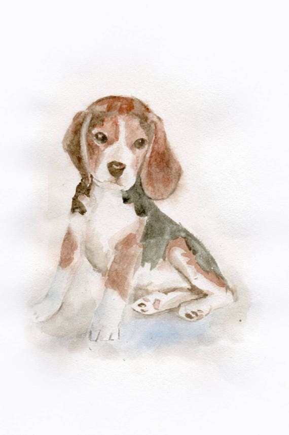 Beagle dog Original Watercolor Painting 59x826 inch