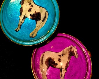 Set of Horse Bridle Rosettes Domed Glass