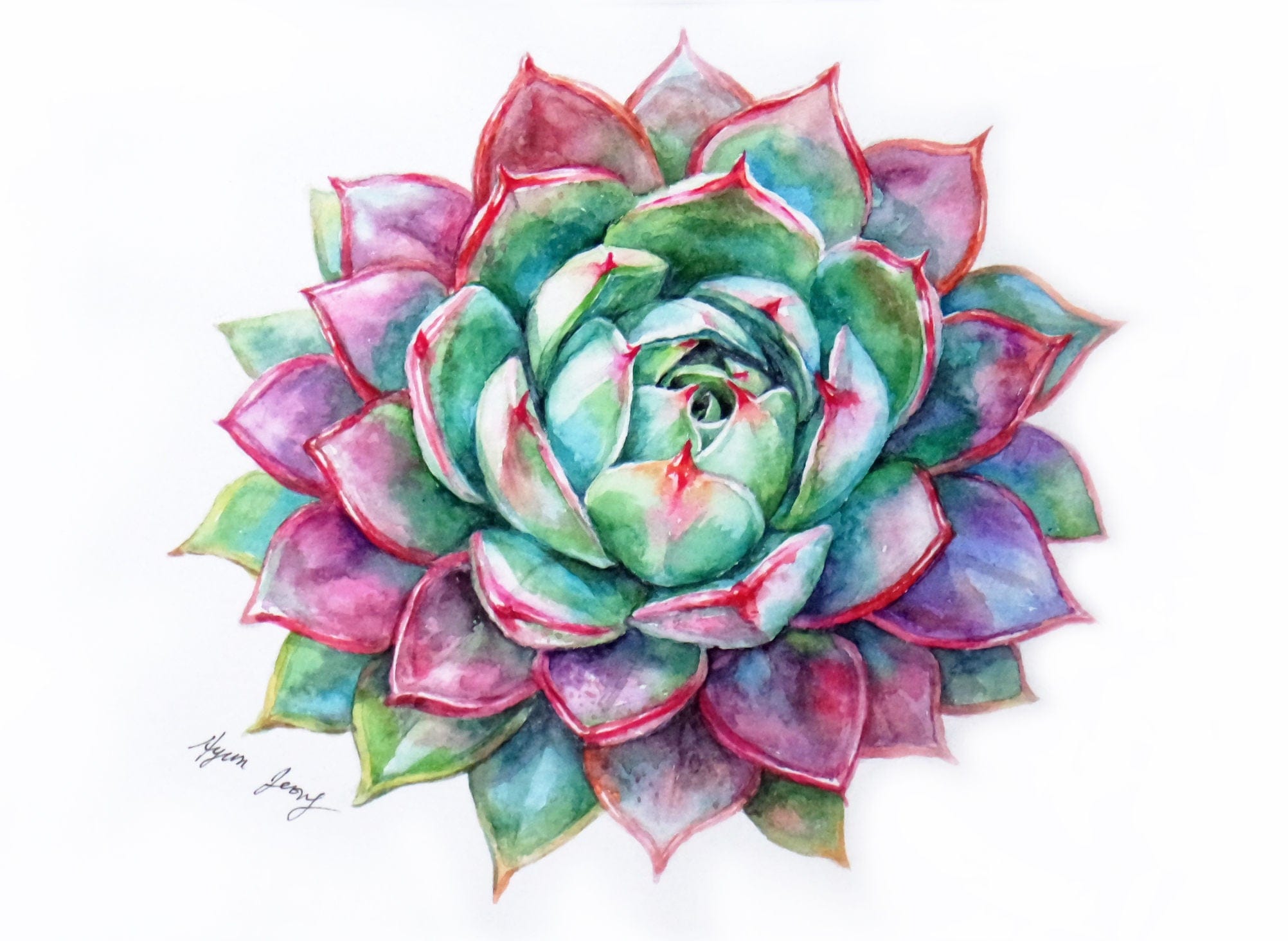 Succulent Original Watercolor Painting Watercolour   Il Fullxfull.1265739545 I89t 