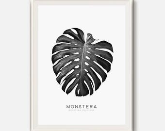 Monstera Leaf, Nature Photography, Leaf Art, Monstera print, Tropical Leaves, Black and white photo, Botanical art, Modern Print, Leaves Art