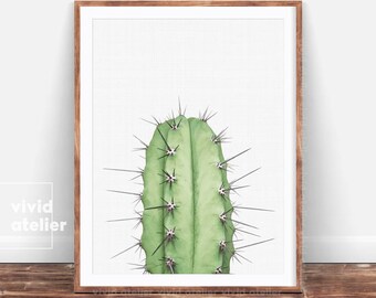Cactus Print, Cactus Wall Art Decor, Succulent Print, Cactus Poster, Cactus Printable, Cactus Modern Print, Cactus Photography Digital Print