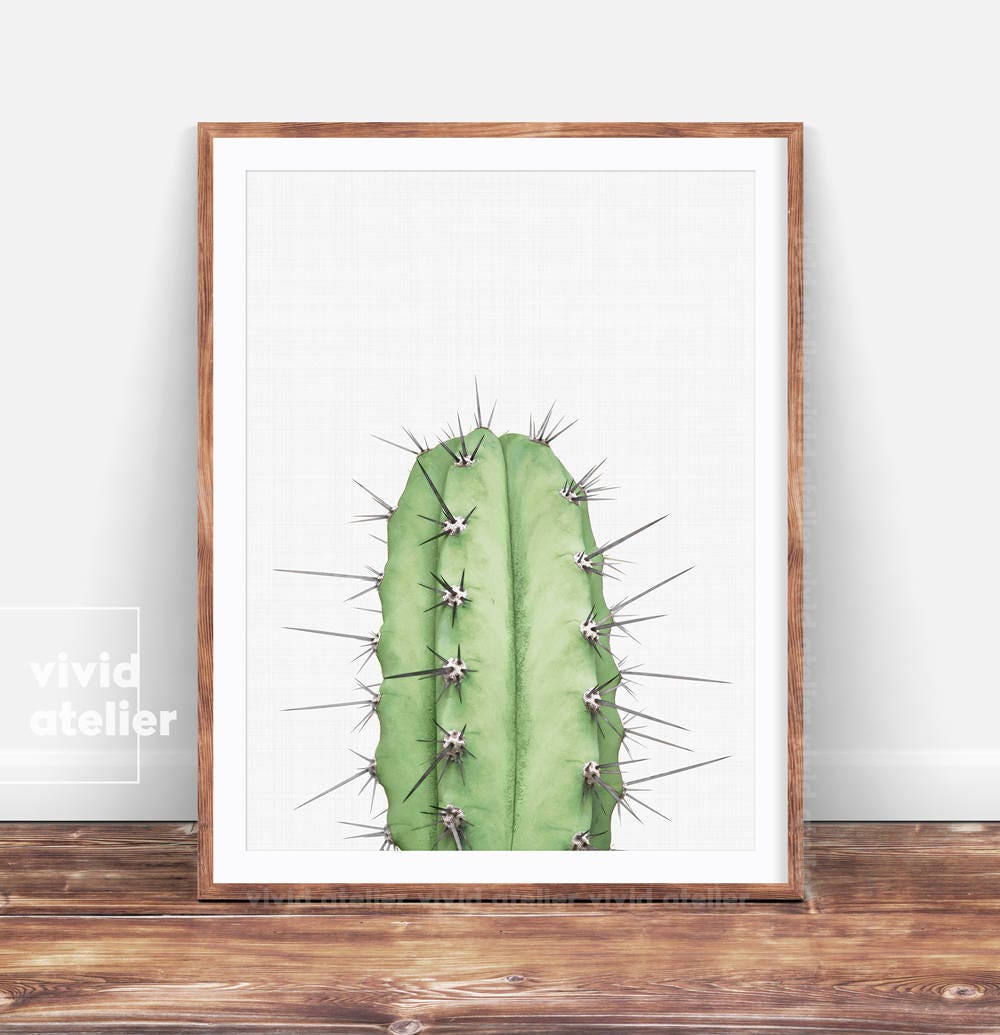  Cactus  Print Cactus  Wall Art  Decor  Succulent Print Cactus 