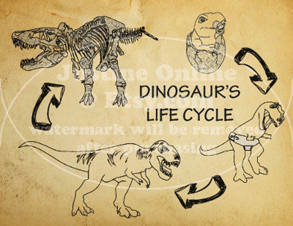 dinosaur life story