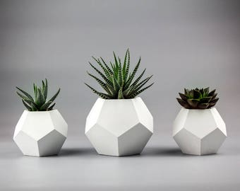 Set of 3 Concrete planters, Air plant planters, geometric planter, desktop planters, small concrete planters