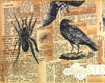 Halloween Fabric By the Yard, Sleepy Hollow Phoenix Creative Co. Robert Kaufman 13731, BTY Raven Spider Cotton Quilting Fabric, Hard to Find