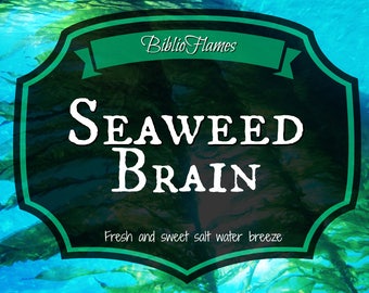 Seasweed brain Percy Jackson Inspired soy candle