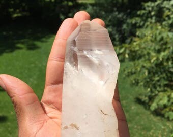 Large lemurian seed quartz