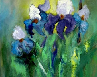 Iris, beautiful flowers