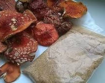 Amanita Muscaria Hoodie - 'Liebe, Seele, Magie' Pullover Mit Pilz-Design