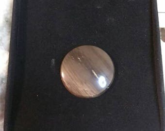 3cm Round Petrified wood cabochon