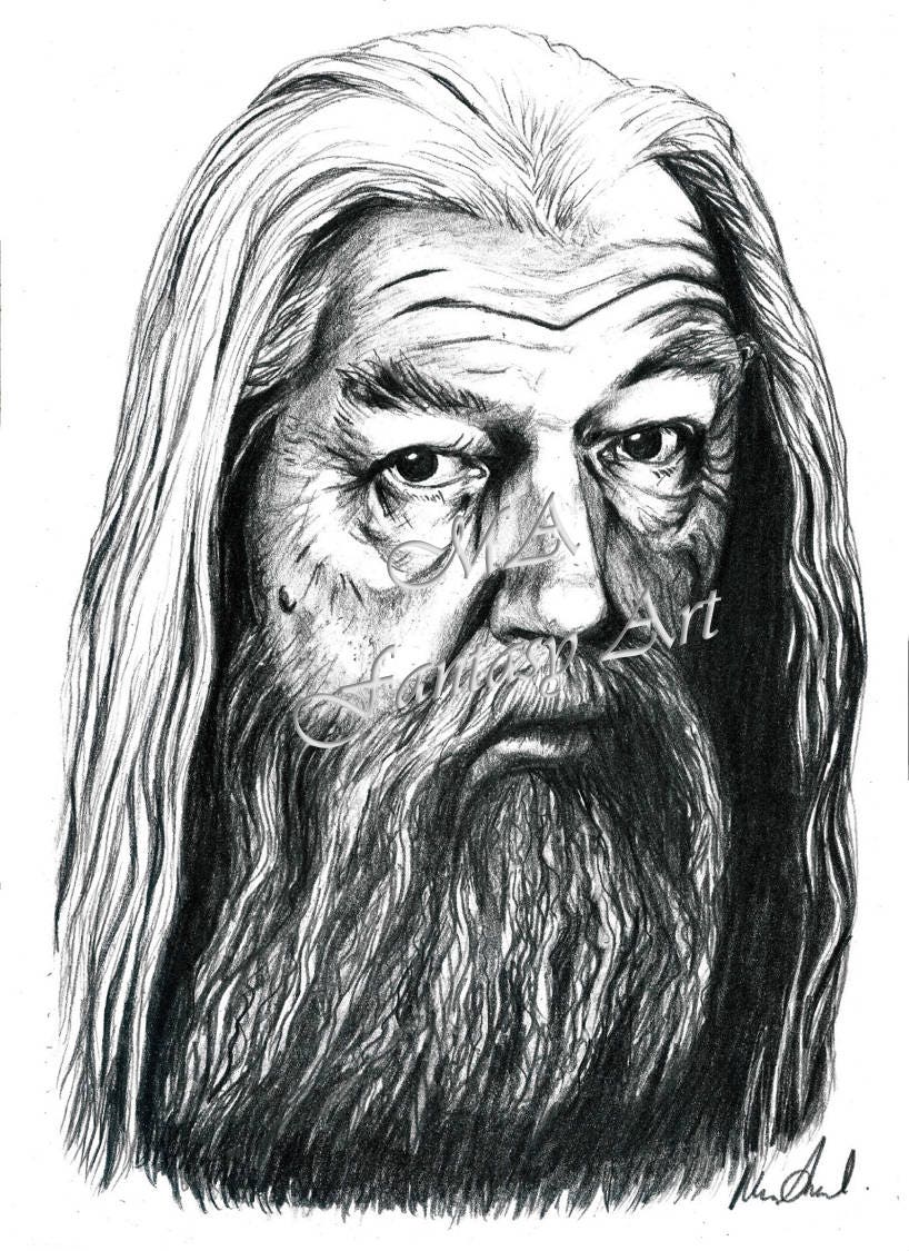 Albus Dumbledore portrait print Harry Potter gift Harry