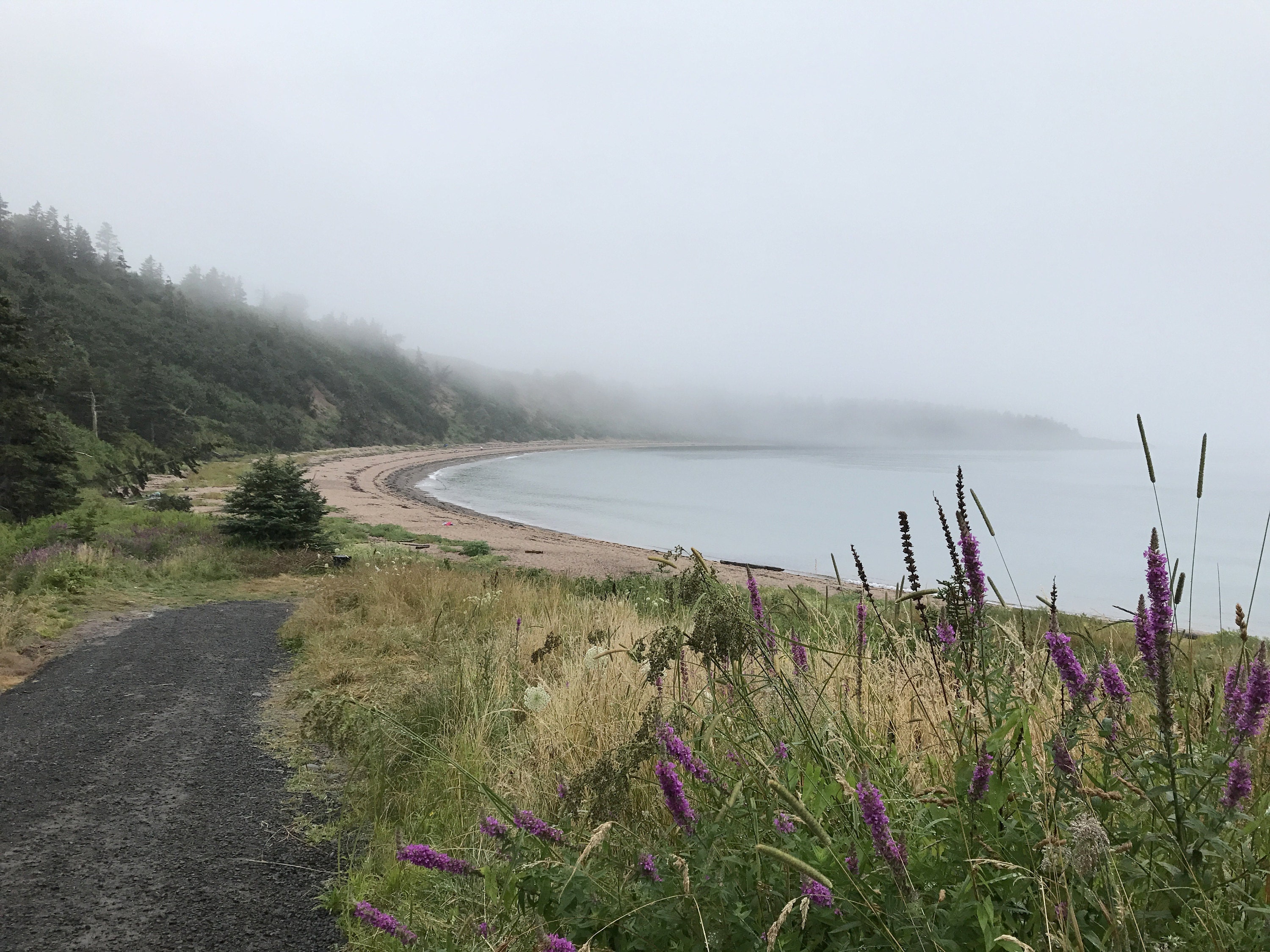 Sandy Cove, sea glass hunting in Digby Nova Scotia