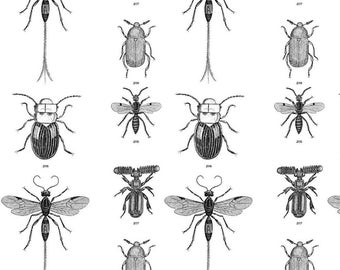 Bugs Fabric - Beetles, Weevils And Mayflies By Flyingfish - Entomology Black and White Vintage Cotton Fabric By The Yard With Spoonflower