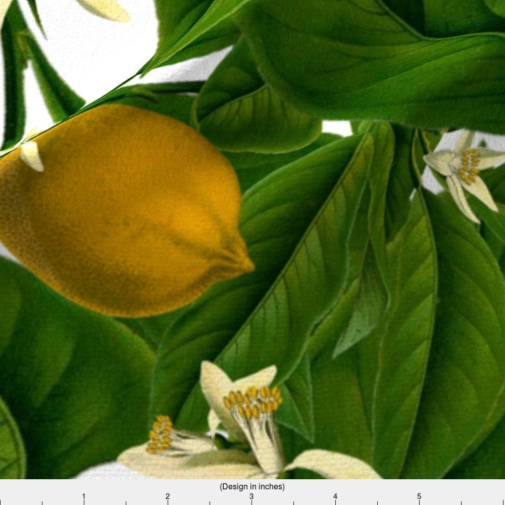 Lemon Fabric Lemon Botanical By Peacoquettedesigns Lemon Summer