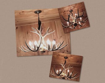 9 Antler, 6 Light Mule Deer Antler Chandelier