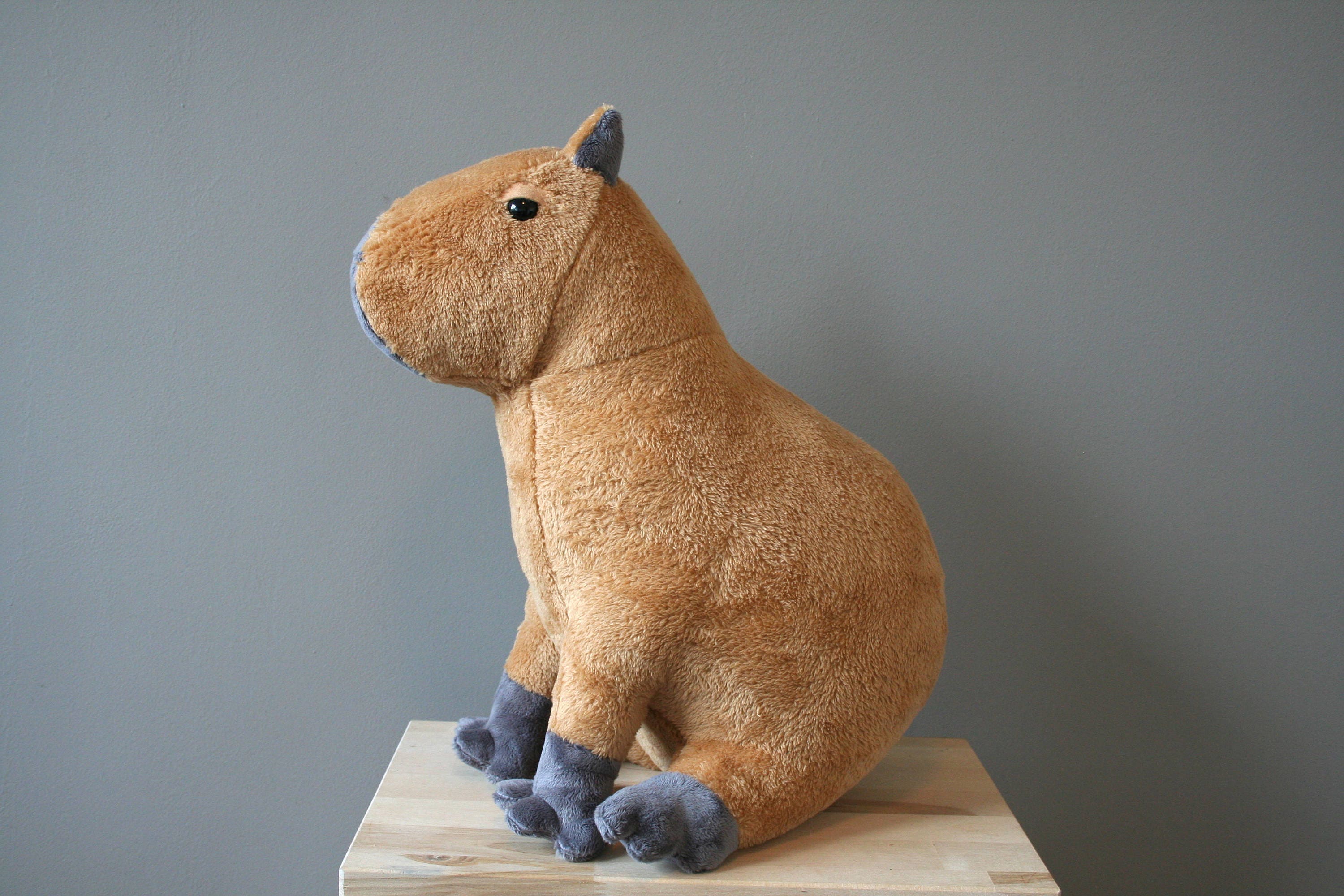 plush capybara