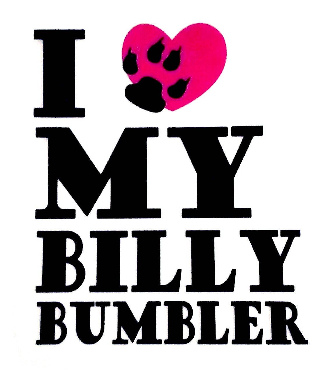 oy billy bumbler shirt