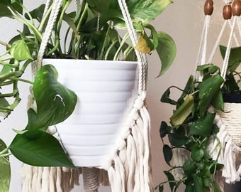 Fringey macrame plant hanger