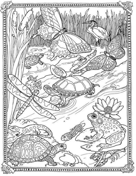 10 Swamp Animal Coloring Pages for Nature Lovers: Unleash Your Creativity in the Wild