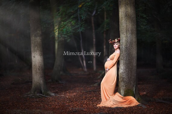 Maternity Gown Photography, Long Sleeves Maternity Dress, Maternity Photography Prop, Pregnancy dress, maternity photo prop, long sleeve