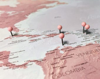 Blush Push Pin World Map - DIY Poster