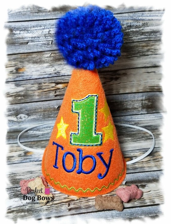 Orange Dog Birthday Hat Dog Party Hat Dogs First Birthday