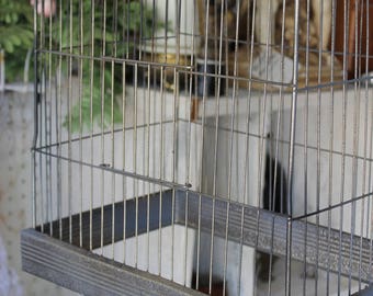 SOLD!!! Vintage Hendryx Metal Bird Cage w/o Bottom