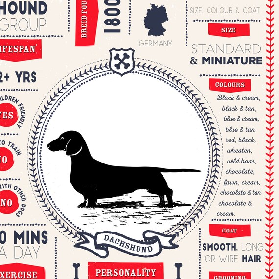 Dachshund Poster Dachshund Art Print Instant Download