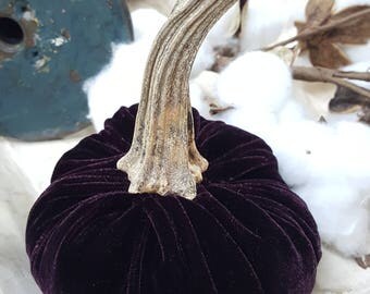 Medium Velvet Blackberry Purple Velvet Pumpkin with Real Pumpkin Stem