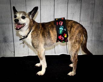 BELLY BAND BUNDLE /Pack of 5 Premium Quality Male Dog Belly Bands by ComfyStyles / Dog Diaper / Potty Training/ Incontinence Wrap / Male Dog