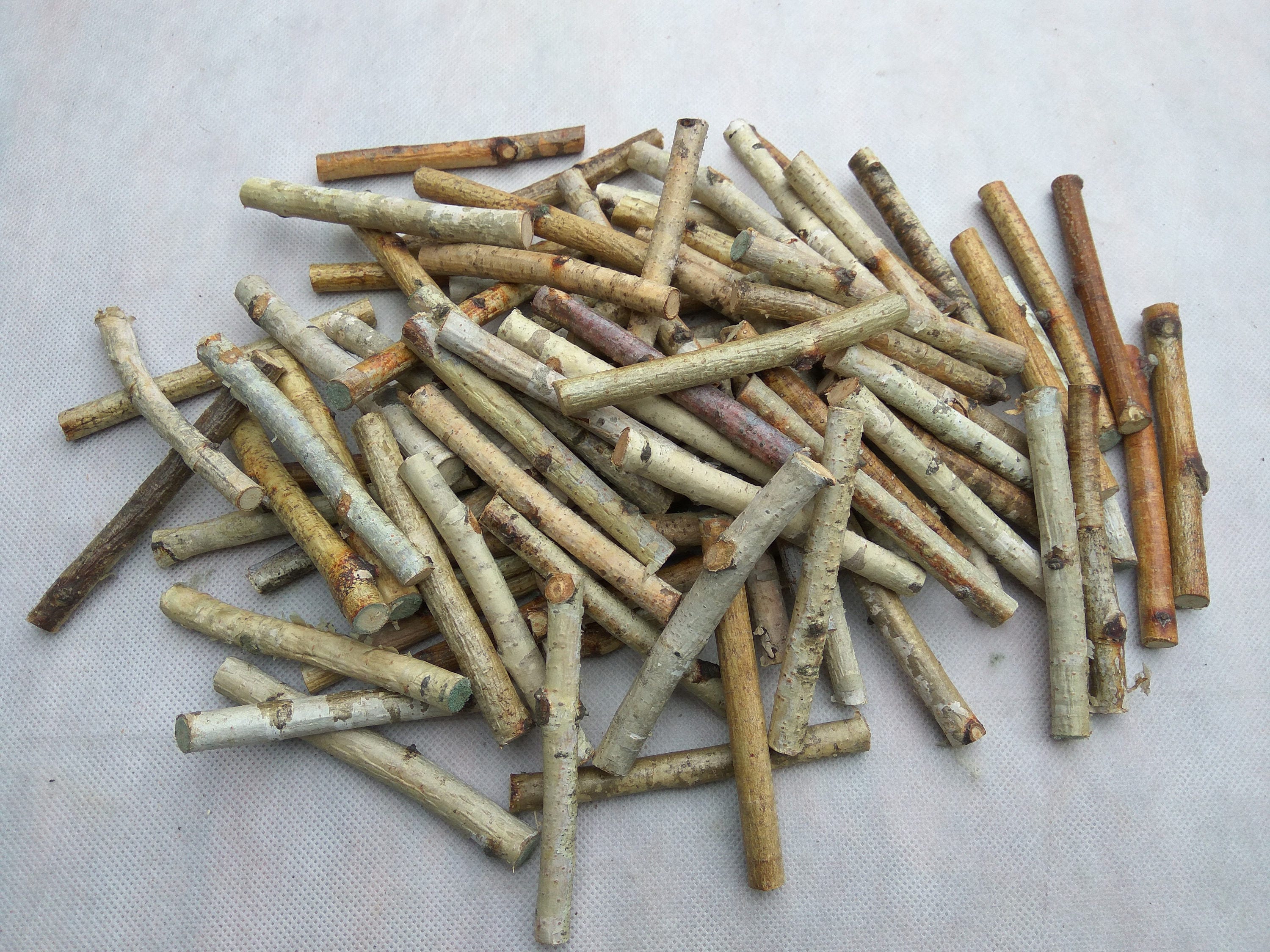 50 small birch wood sticks birch sticks wood decor vase