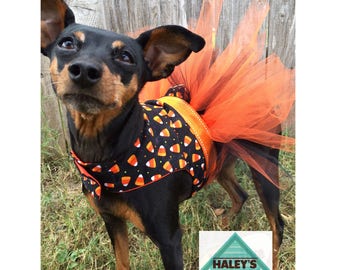 Candy Corn Halloween Dog Costume | Dog TUTU dress | Small Dog Costume | Large Dog Costume