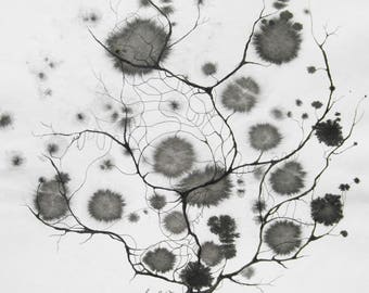 Encres sur papier "Végétal" Oeuvre originale - Encre noire - art contemporain