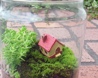 Miniature House Handmade Terrarium Ornaments