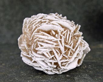Selenite Desert Rose Specimen, Selenite Rosette Cluster, Gypsum Collector Specimen, Rockhound Rosette Specimen, Gypsum Rose, Barite