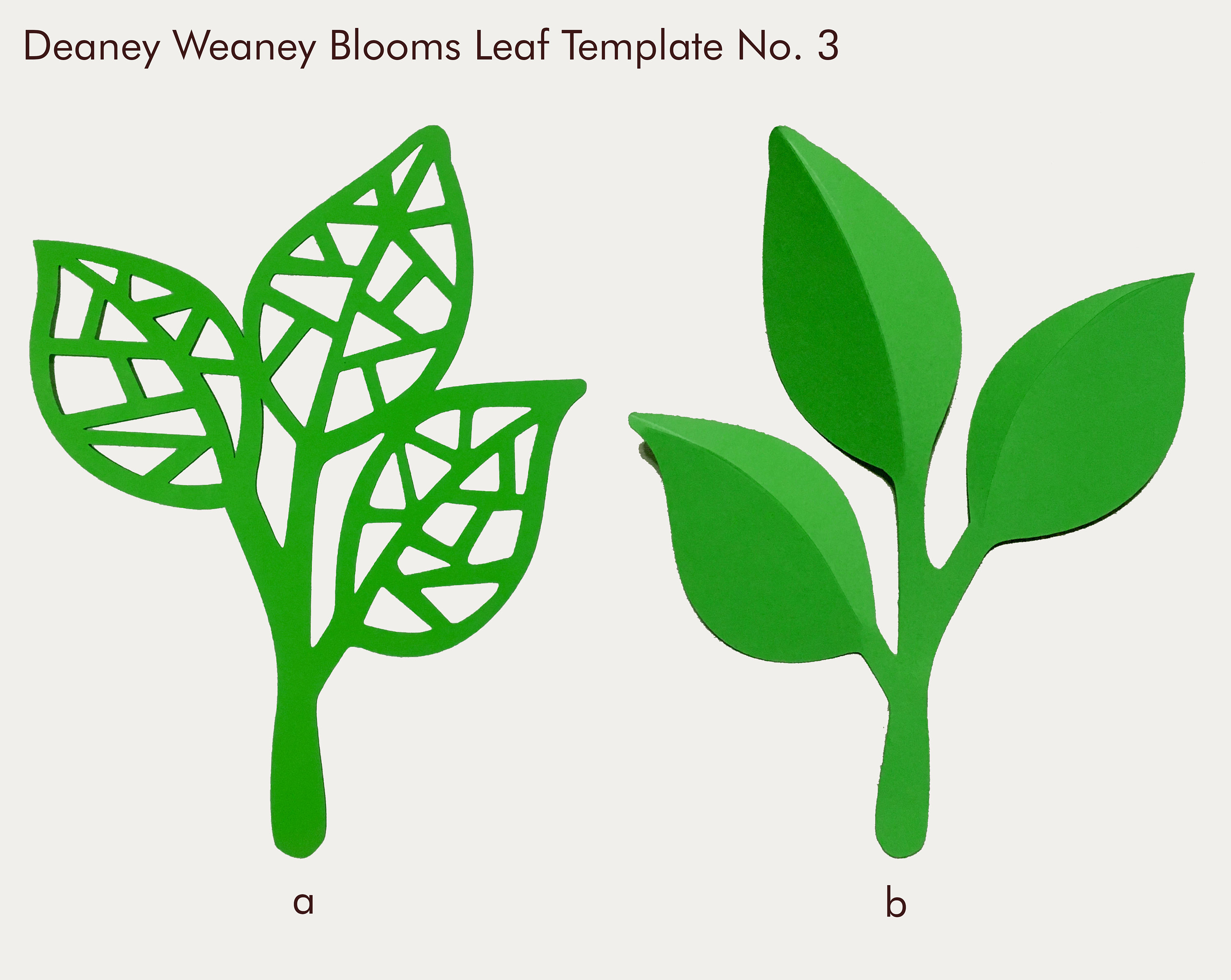 Download SVG and PDF Printable Digital Leaf Template 3 2 kinds