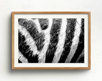 Zebra Wall Decor zebra wall art | etsy Zebra Wall Decor zebra wall art | etsy